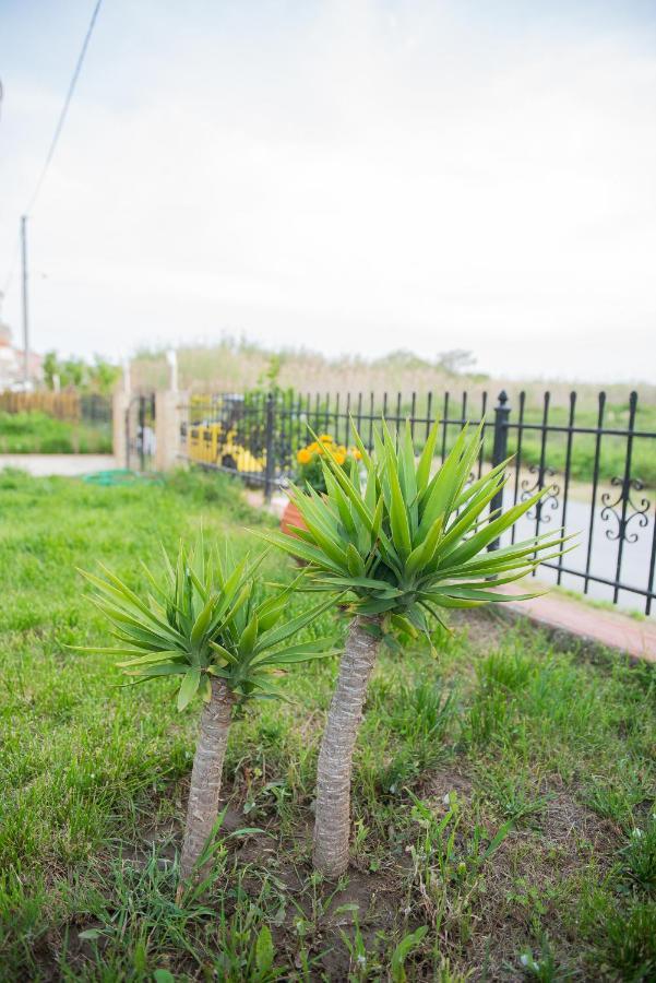 Garden Suite Néa Péramos Exterior foto